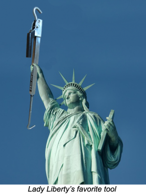 b2ap3_thumbnail_fg-liberty-tli.png