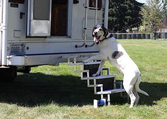 rv stairs for dogs