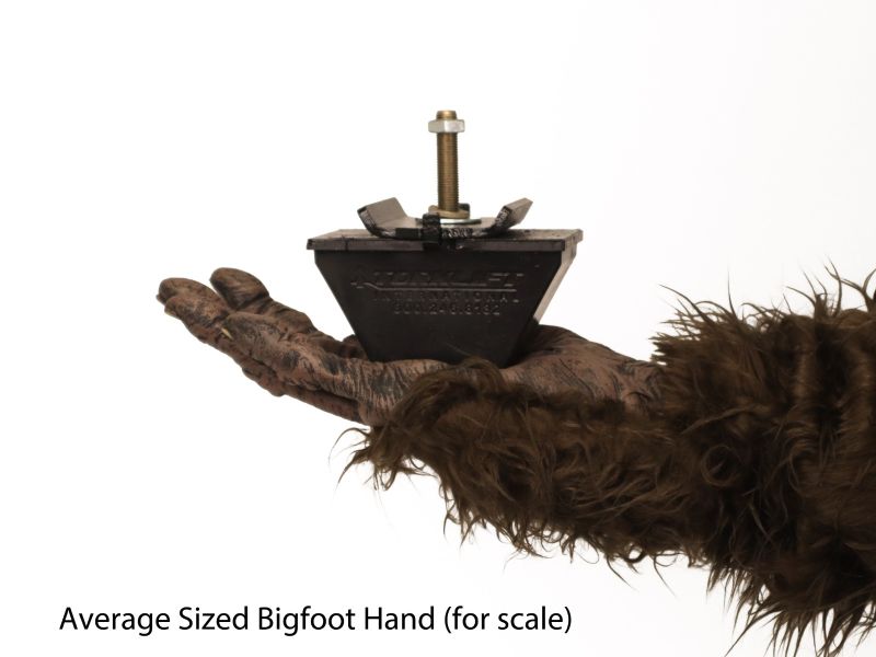 Thumbnail image 5
